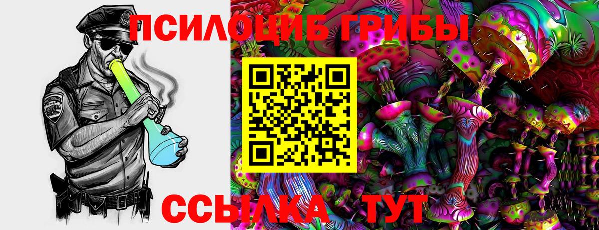 Моздок  Псилоцибиновые грибы Psilocybe  Вход с VPN  Псилоцибиновые грибы Magic Shrooms 