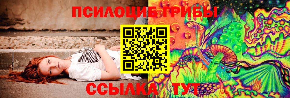 Галлюциногенные грибы прущие грибы Моздок
